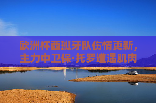 欧洲杯西班牙队伤情更新,主力中卫保·托罗遭遇肌肉受伤,出战成疑,欧洲杯西班牙主力中卫保·托罗肌肉受伤出战成疑 欧洲杯西班牙队伤情更新,主力中卫保·托罗遭遇肌肉受伤,出战成疑,欧洲杯西班牙主力中卫保·托罗肌肉受伤出战成疑