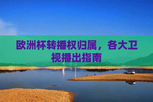 欧洲杯转播权归属,各大卫视播出指南 欧洲杯转播权归属,各大卫视播出指南