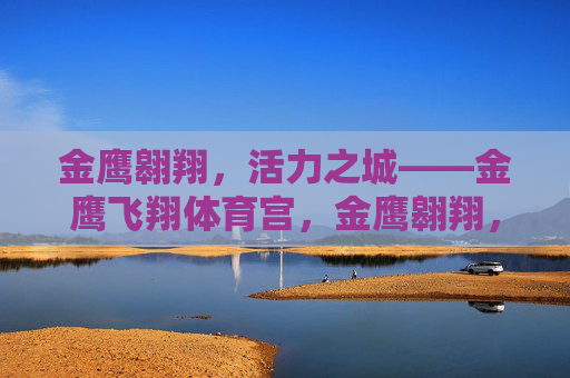 金鹰翱翔，活力之城——金鹰飞翔体育宫，金鹰翱翔，活力体育宫