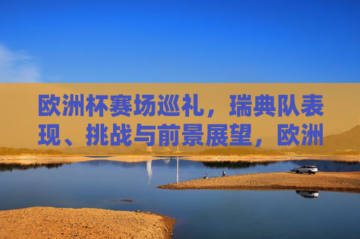 欧洲杯赛场巡礼，瑞典队表现、挑战与前景展望，欧洲杯巡礼，瑞典队表现、挑战与前景展望