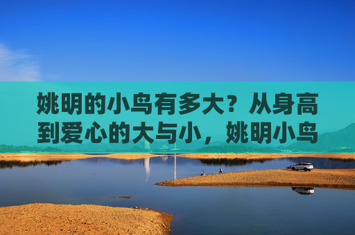 姚明的小鸟有多大?从身高到爱心的大与小,姚明小鸟,从身高到爱心的大与小 姚明的小鸟有多大?从身高到爱心的大与小,姚明小鸟,从身高到爱心的大与小