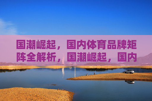 国潮崛起,国内体育品牌矩阵全解析,国潮崛起,国内体育品牌矩阵全解析 国潮崛起,国内体育品牌矩阵全解析,国潮崛起,国内体育品牌矩阵全解析