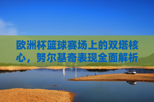 欧洲杯篮球赛场上的双塔核心，努尔基奇表现全面解析，欧洲杯篮球双塔核心努尔基奇表现全面解析