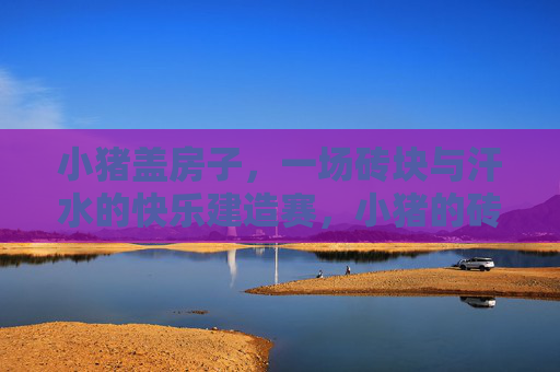 小猪盖房子,一场砖块与汗水的快乐建造赛,小猪的砖块与汗水快乐建造赛 小猪盖房子,一场砖块与汗水的快乐建造赛,小猪的砖块与汗水快乐建造赛