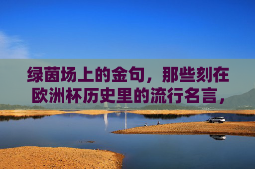绿茵场上的金句，那些刻在欧洲杯历史里的流行名言，绿茵场上的欧洲杯历史金句