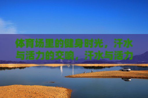体育场里的健身时光，汗水与活力的交响，汗水与活力的健身交响