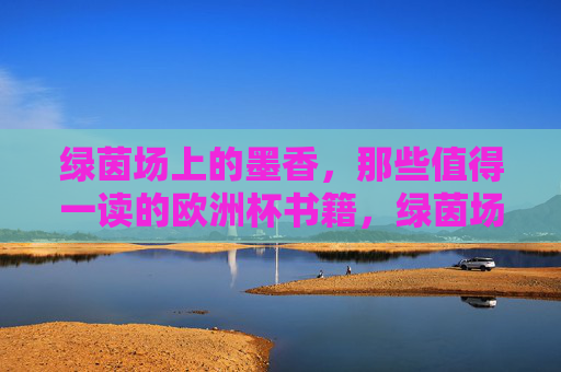绿茵场上的墨香，那些值得一读的欧洲杯书籍，绿茵场墨香，欧洲杯必读书籍