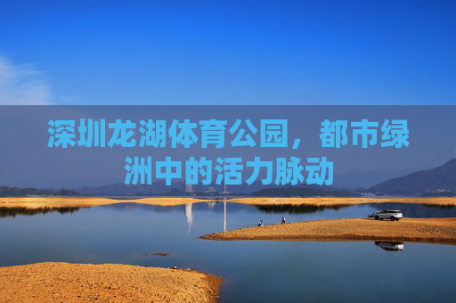 深圳龙湖体育公园,都市绿洲中的活力脉动 深圳龙湖体育公园,都市绿洲中的活力脉动