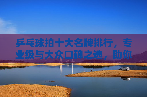 乒乓球拍十大名牌排行，专业级与大众口碑之选，助你提升赛场表现