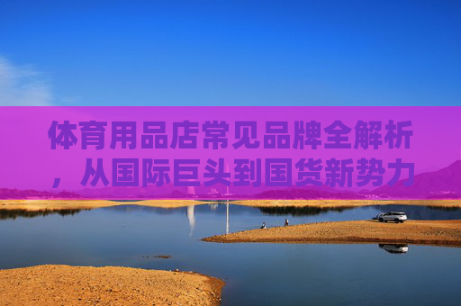 体育用品店常见品牌全解析，从国际巨头到国货新势力，体育用品品牌全解析，从国际巨头到国货新势力