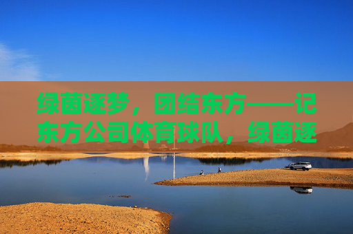 绿茵逐梦,团结东方——记东方公司体育球队,绿茵逐梦,团结东方——东方公司体育球队 绿茵逐梦,团结东方——记东方公司体育球队,绿茵逐梦,团结东方——东方公司体育球队