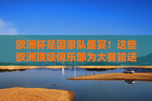 欧洲杯是国家队盛宴！这些欧洲顶级俱乐部为大赛输送核心力量，欧洲杯国家队盛宴，顶级俱乐部输送核心力量