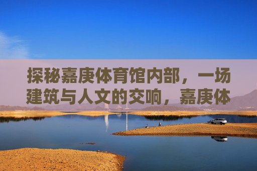 探秘嘉庚体育馆内部，一场建筑与人文的交响，嘉庚体育馆内部探秘，建筑与人文的交响