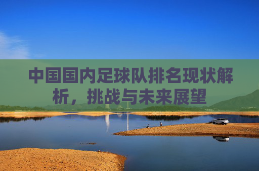中国国内足球队排名现状解析，挑战与未来展望