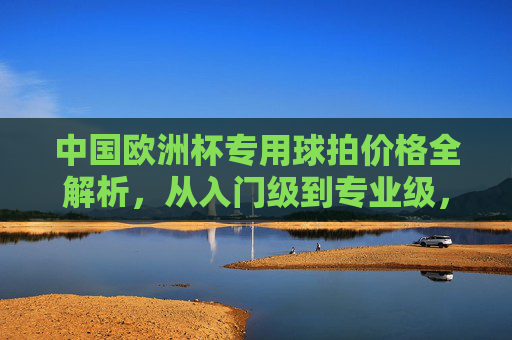 中国欧洲杯专用球拍价格全解析,从入门级到专业级,预算多少才合适?中国欧洲杯专用球拍价格全解析,入门级到专业级预算指南 中国欧洲杯专用球拍价格全解析,从入门级到专业级,预算多少才合适?中国欧洲杯专用球拍价格全解析,入门级到专业级预算指南