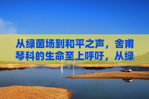 从绿茵场到和平之声，舍甫琴科的生命至上呼吁，从绿茵到和平，舍甫琴科的生命至上呼吁