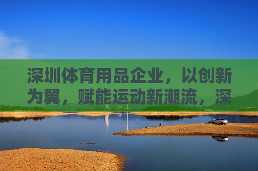 深圳体育用品企业，以创新为翼，赋能运动新潮流，深圳体育用品企业，创新赋能运动新潮流