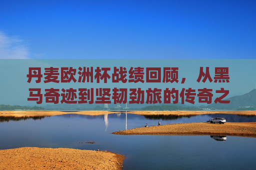 丹麦欧洲杯战绩回顾，从黑马奇迹到坚韧劲旅的传奇之路，丹麦欧洲杯征程，黑马奇迹铸就坚韧劲旅传奇