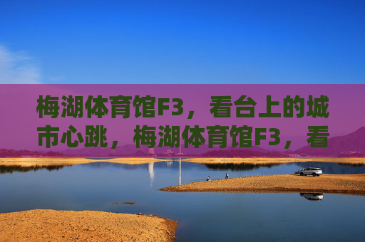 梅湖体育馆F3，看台上的城市心跳，梅湖体育馆F3，看台上的城市心跳