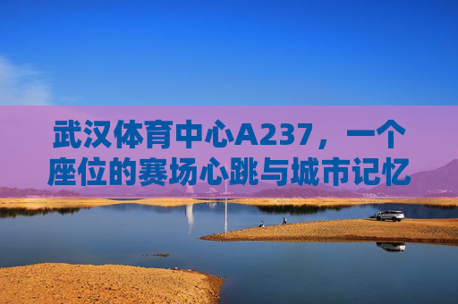 武汉体育中心A237，一个座位的赛场心跳与城市记忆，武汉体育中心A237，一座位的赛场心跳与城市记忆