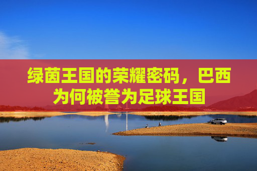 绿茵王国的荣耀密码,巴西为何被誉为足球王国 绿茵王国的荣耀密码,巴西为何被誉为足球王国