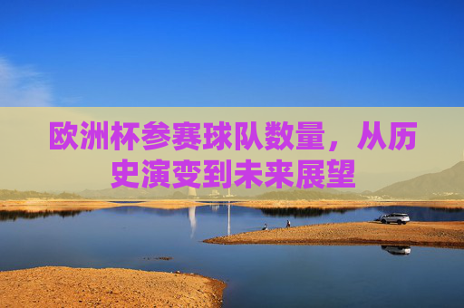 欧洲杯参赛球队数量,从历史演变到未来展望 欧洲杯参赛球队数量,从历史演变到未来展望