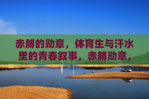 赤膊的勋章，体育生与汗水里的青春叙事，赤膊勋章，体育生汗水青春叙事