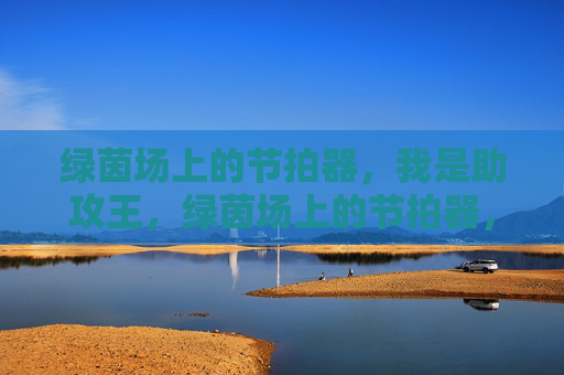 绿茵场上的节拍器,我是助攻王,绿茵场上的节拍器,助攻王 绿茵场上的节拍器,我是助攻王,绿茵场上的节拍器,助攻王