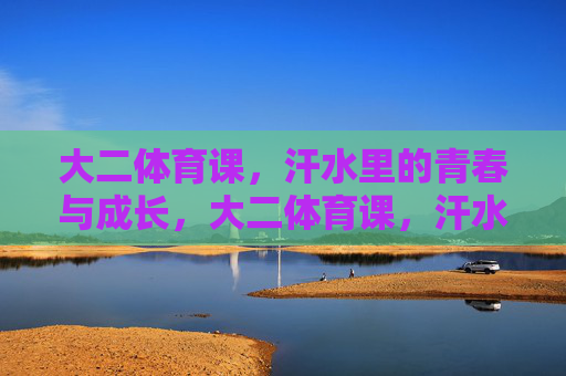 大二体育课，汗水里的青春与成长，大二体育课，汗水铸就青春成长