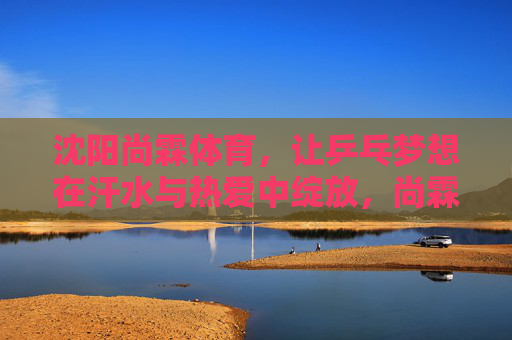 沈阳尚霖体育，让乒乓梦想在汗水与热爱中绽放，尚霖体育，乒乓梦想在汗水与热爱中绽放