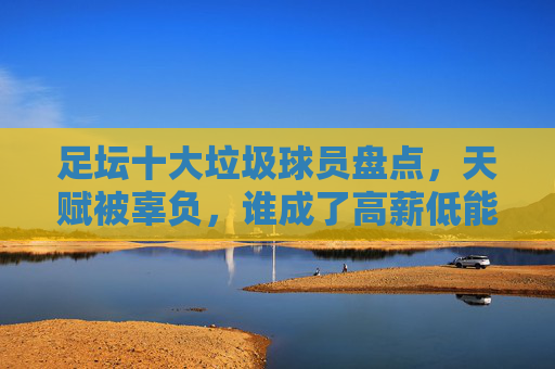 足坛十大垃圾球员盘点,天赋被辜负,谁成了高薪低能的代名词?足坛十大高薪低能球员,天赋被辜负 足坛十大垃圾球员盘点,天赋被辜负,谁成了高薪低能的代名词?足坛十大高薪低能球员,天赋被辜负