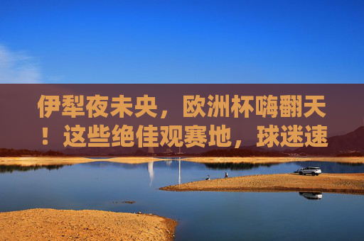 伊犁夜未央,欧洲杯嗨翻天!这些绝佳观赛地,球迷速来集合! 伊犁夜未央,欧洲杯嗨翻天!这些绝佳观赛地,球迷速来集合!