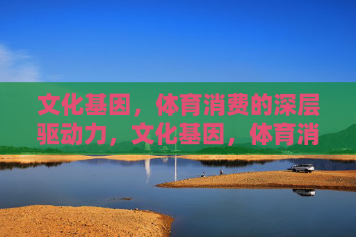 文化基因,体育消费的深层驱动力,文化基因,体育消费的深层驱动力 文化基因,体育消费的深层驱动力,文化基因,体育消费的深层驱动力
