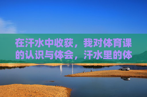 在汗水中收获，我对体育课的认识与体会，汗水里的体育课收获