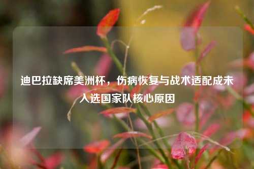迪巴拉缺席美洲杯,伤病恢复与战术适配成未入选国家队核心原因
