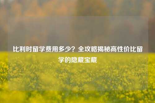 比利时留学费用多少?全攻略揭秘高性价比留学的隐藏宝藏