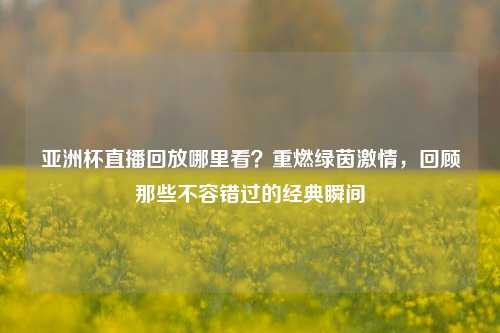 亚洲杯直播回放哪里看?重燃绿茵 ,回顾那些不容错过的经典瞬间