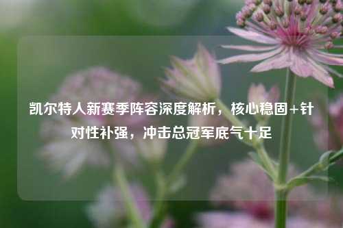凯尔特人新赛季阵容深度解析,核心稳固+针对性补强,冲击总冠军底气十足