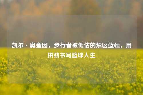 凯尔·奥奎因,步行者被低估的禁区蓝领,用拼劲书写篮球人生