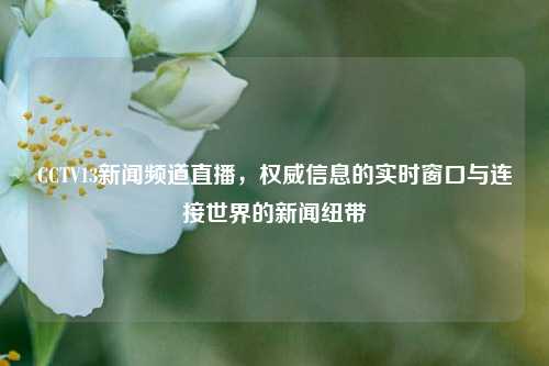 CCTV13新闻频道直播,权威信息的实时窗口与连接世界的新闻纽带