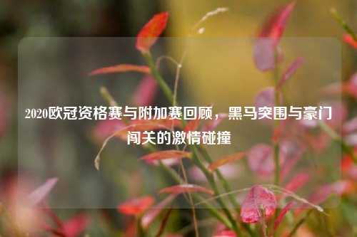 2020欧冠资格赛与附加赛回顾,黑马突围与豪门闯关的 碰撞