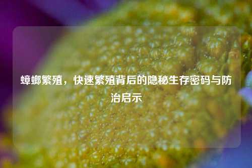 蟑螂繁殖,快速繁殖背后的隐秘生存密码与防治启示
