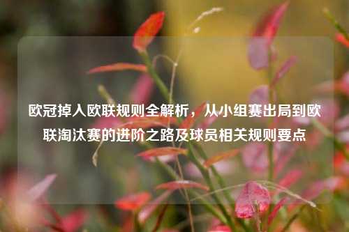 欧冠掉入欧联规则全解析,从小组赛出局到欧联淘汰赛的进阶之路及球员相关规则要点