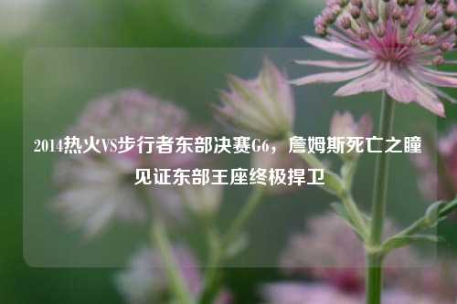 2014热火VS步行者东部决赛G6,詹姆斯死亡之瞳见证东部王座终极捍卫