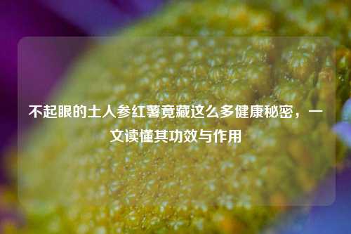 不起眼的土人参红薯竟藏这么多健康秘密,一文读懂其功效与作用