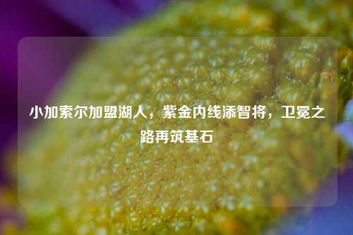小加索尔加盟湖人,紫金内线添智将,卫冕之路再筑基石