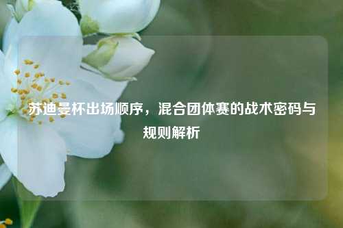 苏迪曼杯出场顺序,混合团体赛的战术密码与规则解析