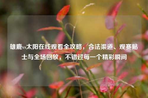 雄鹿vs太阳在线观看全攻略,合法渠道、观赛贴士与全场回放,不错过每一个精彩瞬间