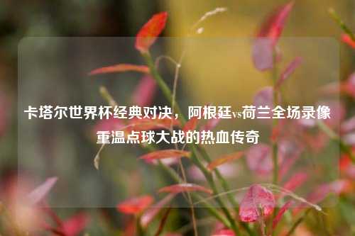 卡塔尔世界杯经典对决,阿根廷vs荷兰全场录像重温点球大战的热血传奇