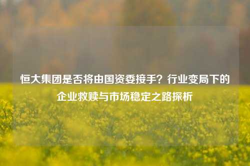 恒大集团是否将由国资委接手?行业变局下的企业救赎与市场稳定之路探析